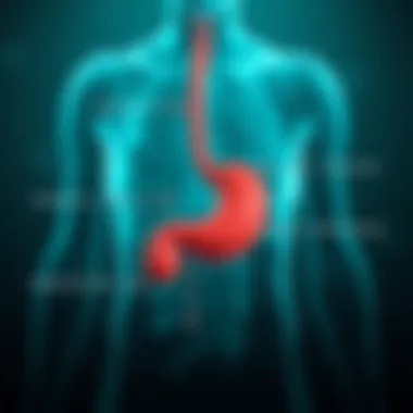 Symptoms of stomach cancer infographic