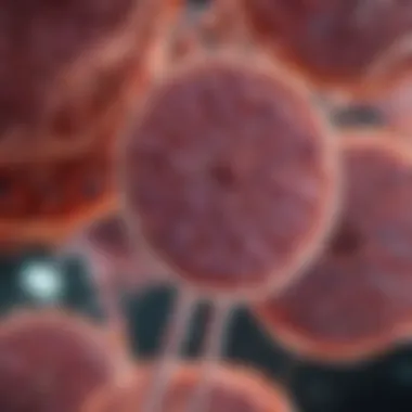 Extraction and Reintegration of Cells Diagram illustrating the extraction and reintegration of cells