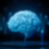 Understanding Brain Waves During Sleep Introduction