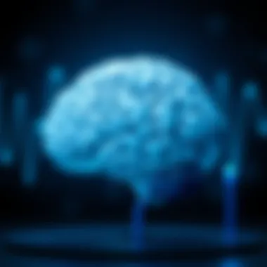 Understanding Brain Waves During Sleep Introduction Understanding Brain Waves During Sleep Introduction