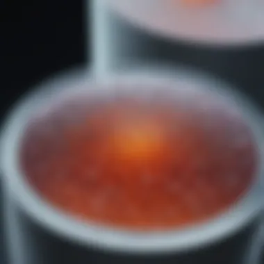 Core Principles of Cell-Based ELISA Overview of cell-based ELISA principles