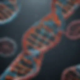 Representation of cell free DNA structure