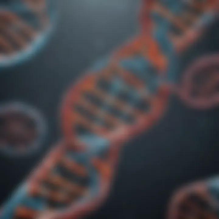 Representation of cell free DNA structure