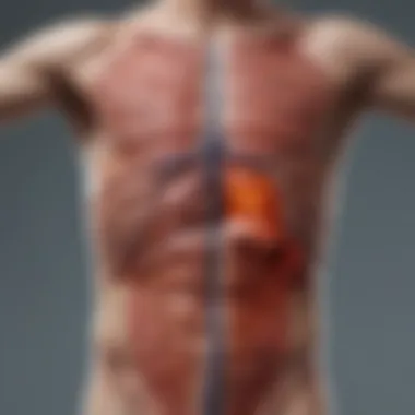 Biological Response of Chronic Inflammation A diagram illustrating the biological response of chronic inflammation