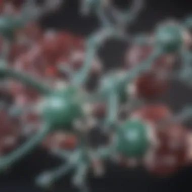 Chemical Structure of Clindamycin Chemical structure of clindamycin highlighting its molecular properties