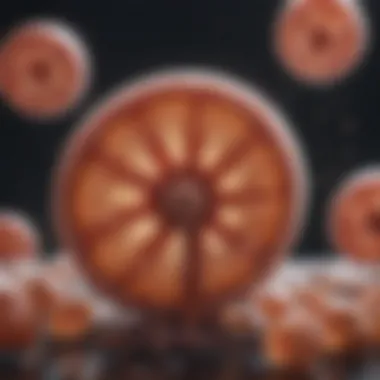Impact of Infections on Kidney Function Visual representation of kidney function and how infections may impact renal health