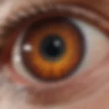 Illustration depicting the retinal layer affected by drusen accumulation.