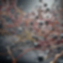 Illustration depicting the biochemical pathways influenced by effector medications