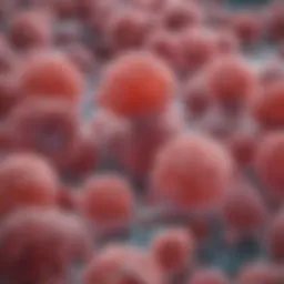 Illustration depicting eosinophil cells in the esophagus