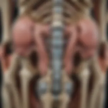 Extremity MRI Scan Analysis Detailed view of an extremity MRI scan highlighting musculoskeletal anomalies