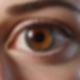Techniques of ocular biopsy