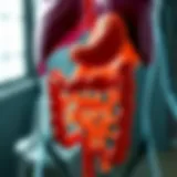 Illustration of the gastrointestinal tract affected by GVHD