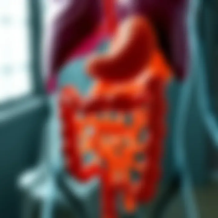 Impact of GVHD on Gastrointestinal Health Illustration of the gastrointestinal tract affected by GVHD