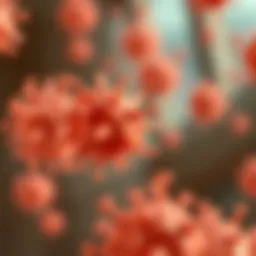Understanding High Levels of Beta 2 Globulin: Implications and Insights Introduction