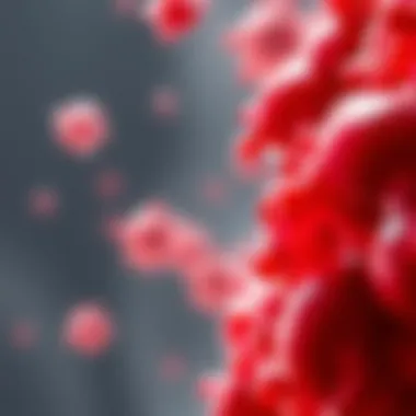 Notable Understanding High Levels of Beta 2 Globulin: Implications and Insights Notable Understanding High Levels of Beta 2 Globulin: Implications and Insights