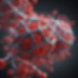 Illustration of HIV nucleic acid structure
