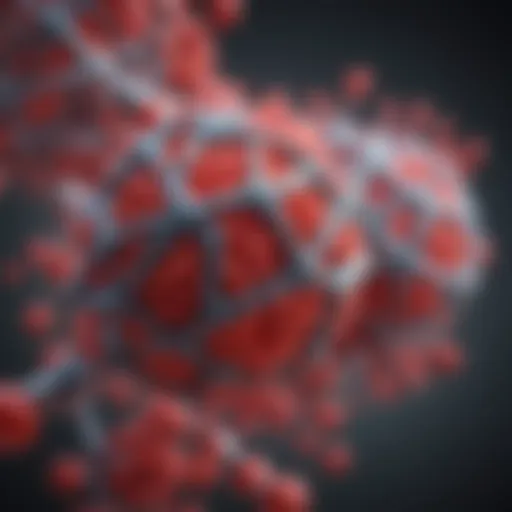 Illustration of HIV nucleic acid structure