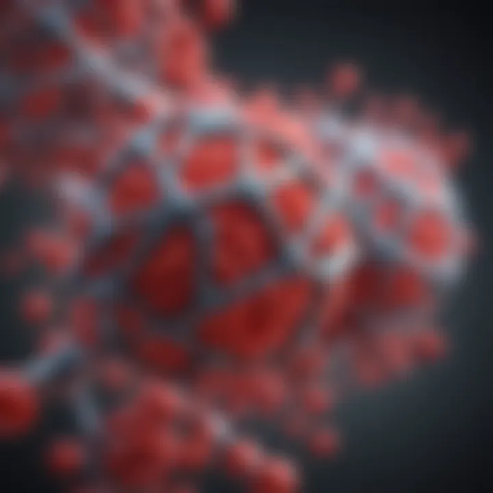 Illustration of HIV nucleic acid structure