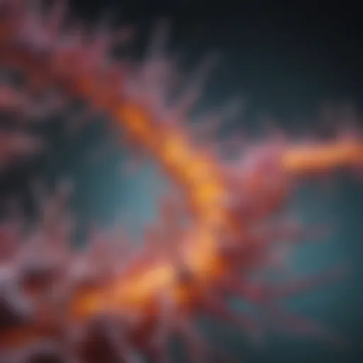 Visual representation of hormone signaling pathways involved in cancer development