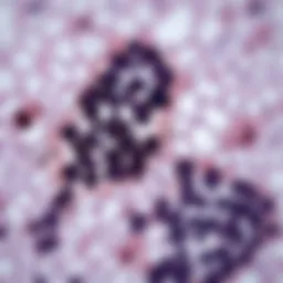 Understanding Immunohistochemical Staining: Methodologies, Applications, and Future Directions Introduction