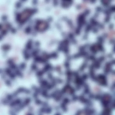 Notable Understanding Immunohistochemical Staining: Methodologies, Applications, and Future Directions