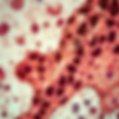 Understanding Immunohistochemical Staining: Methodologies, Applications, and Future Directions Summary
