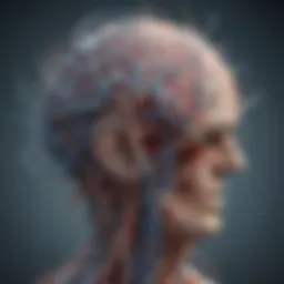A complex brain illustration showcasing neural pathways associated with obsessive thoughts