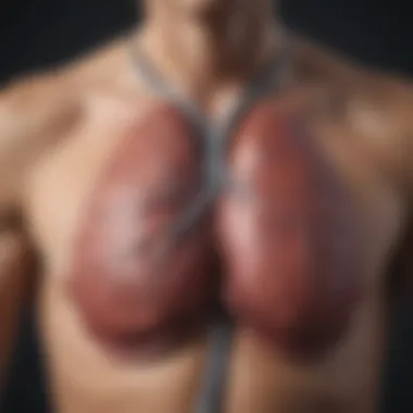 Diagnostic Approaches for Lung AVMs Flowchart of diagnostic approaches for lung AVMs