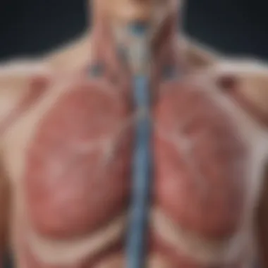 Management Options for Lung Arteriovenous Malformations Infographic on management options for lung AVMs