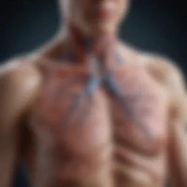Symptoms of Lung Arteriovenous Malformations Graph illustrating symptoms associated with lung AVMs