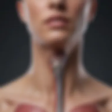 Conditions Causing Esophageal Pain Diagram illustrating common conditions that cause esophageal pain