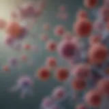 Illustration depicting the variety of autoimmune antibodies