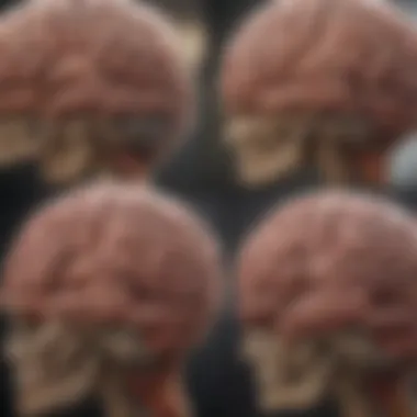 Changes in Brain Scans Brain scans illustrating changes associated with cognitive decline