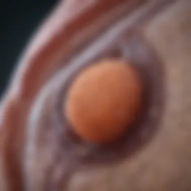 Diagnostic Techniques in Prostate Cancer Diagnostic techniques for prostate cancer