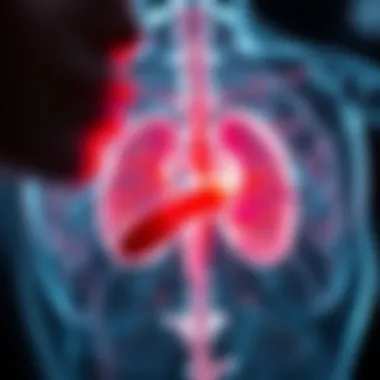 The Role of Hormones in Prostate Cancer Development Hormonal Changes and Prostate Health