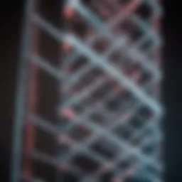 Detailed view of protein ladder markers on agarose gel