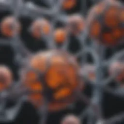 Biological mechanisms of PSA