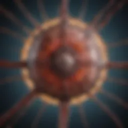 Visual representation of rabies transmission pathways