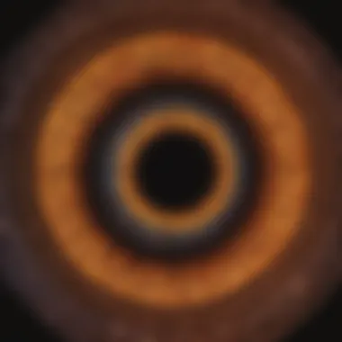 Diagram showing inheritance patterns of retinitis pigmentosa