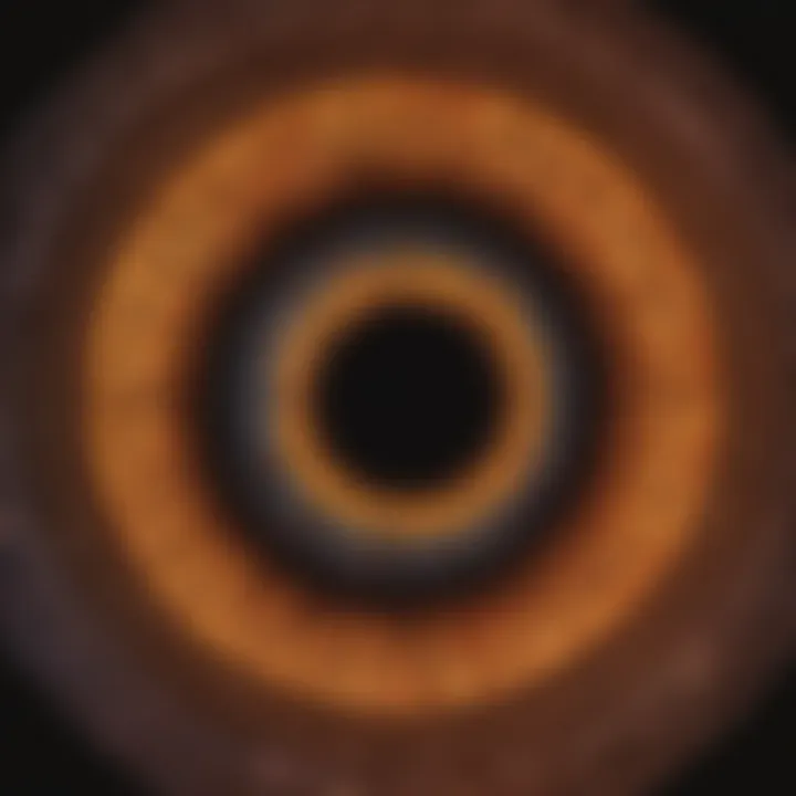 Diagram showing inheritance patterns of retinitis pigmentosa