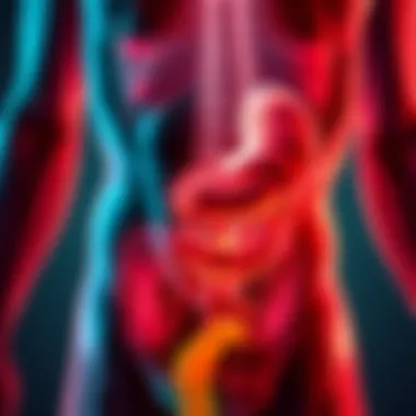 Visual representation of treatment options for abdominal pain