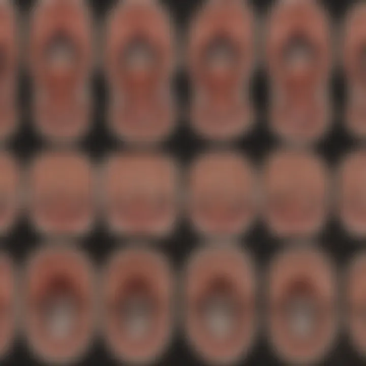 Diagram showing various imaging techniques for assessing stenosis