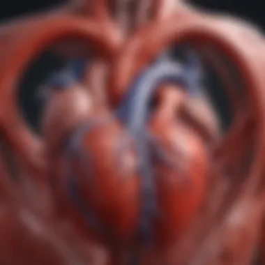 Heart Function and Blood Pressure Dynamics Diagram showing the heart and blood flow dynamics