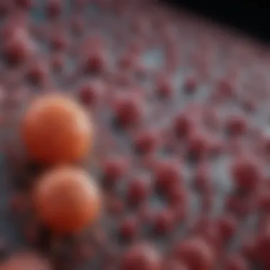 Epidemiological Insights on T-ALL Chart depicting the epidemiological trends in T-cell acute lymphoblastic leukemia