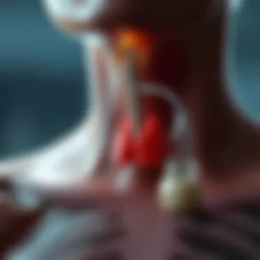 Intricate diagram of thyroid gland functions