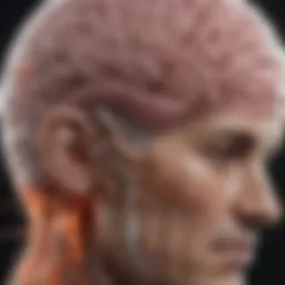 Brain scan highlighting areas affected by Multiple Sclerosis