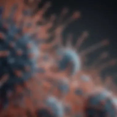Influenza Virus Structure Visualization of influenza virus structure