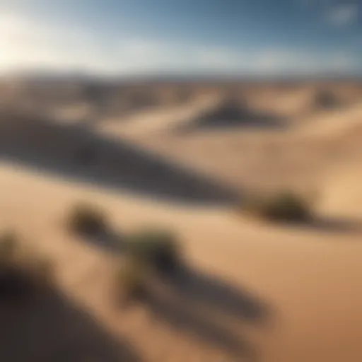 A panoramic view of a hot desert landscape showing sand dunes and sparse vegetation under a clear blue sky.