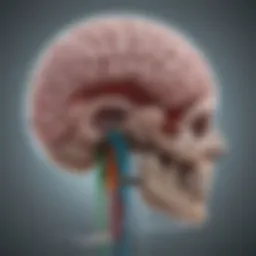 Brain scan illustrating traumatic brain injury