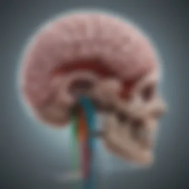Illustration of Brain Scan Related to TBI Brain scan illustrating traumatic brain injury